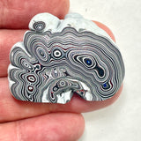 DVH Genuine Michigan Fordite Specimen Polished Face Rough MOPAR (6046)