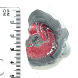 DVH Genuine Michigan Fordite Specimen Polished Face Rough MOPAR (6046)