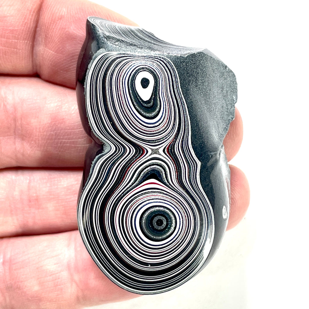 DVH Genuine Michigan Fordite Specimen Polished Face Rough MOPAR (6075)