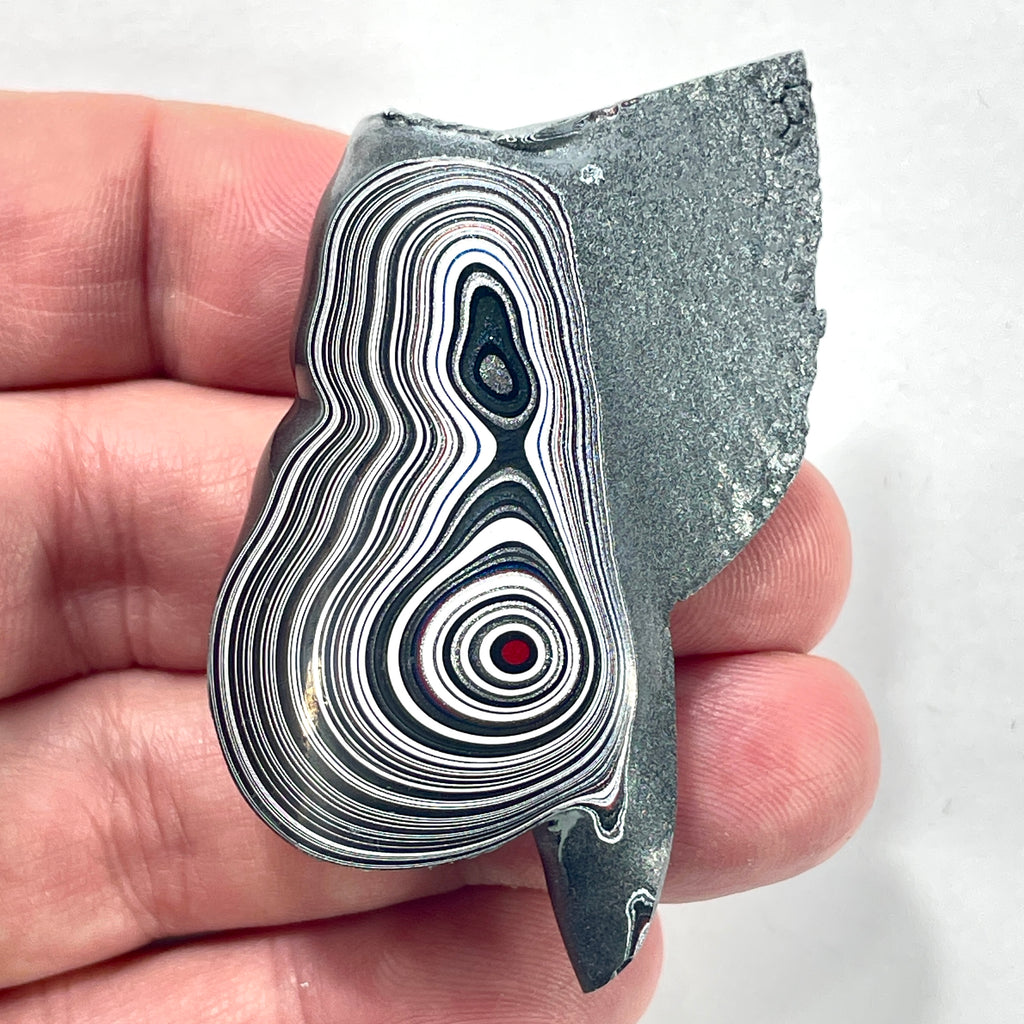 DVH Genuine Michigan Fordite Specimen Polished Face Rough MOPAR (6079)