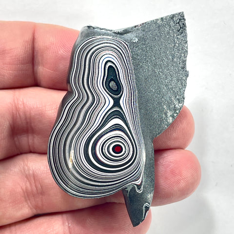 DVH Genuine Michigan Fordite Specimen Polished Face Rough MOPAR (6079)