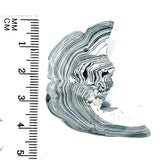 DVH Genuine Michigan Fordite Specimen Polished Face Rough MOPAR (6081)