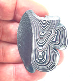 DVH Genuine Michigan Fordite Specimen Polished Face Rough MOPAR (6083)