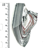 DVH Genuine Michigan Fordite Specimen Polished Face Rough MOPAR (6249)