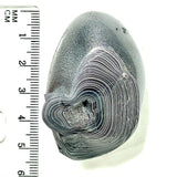 DVH Genuine Michigan Fordite Specimen Polished Face Rough MOPAR (6253)