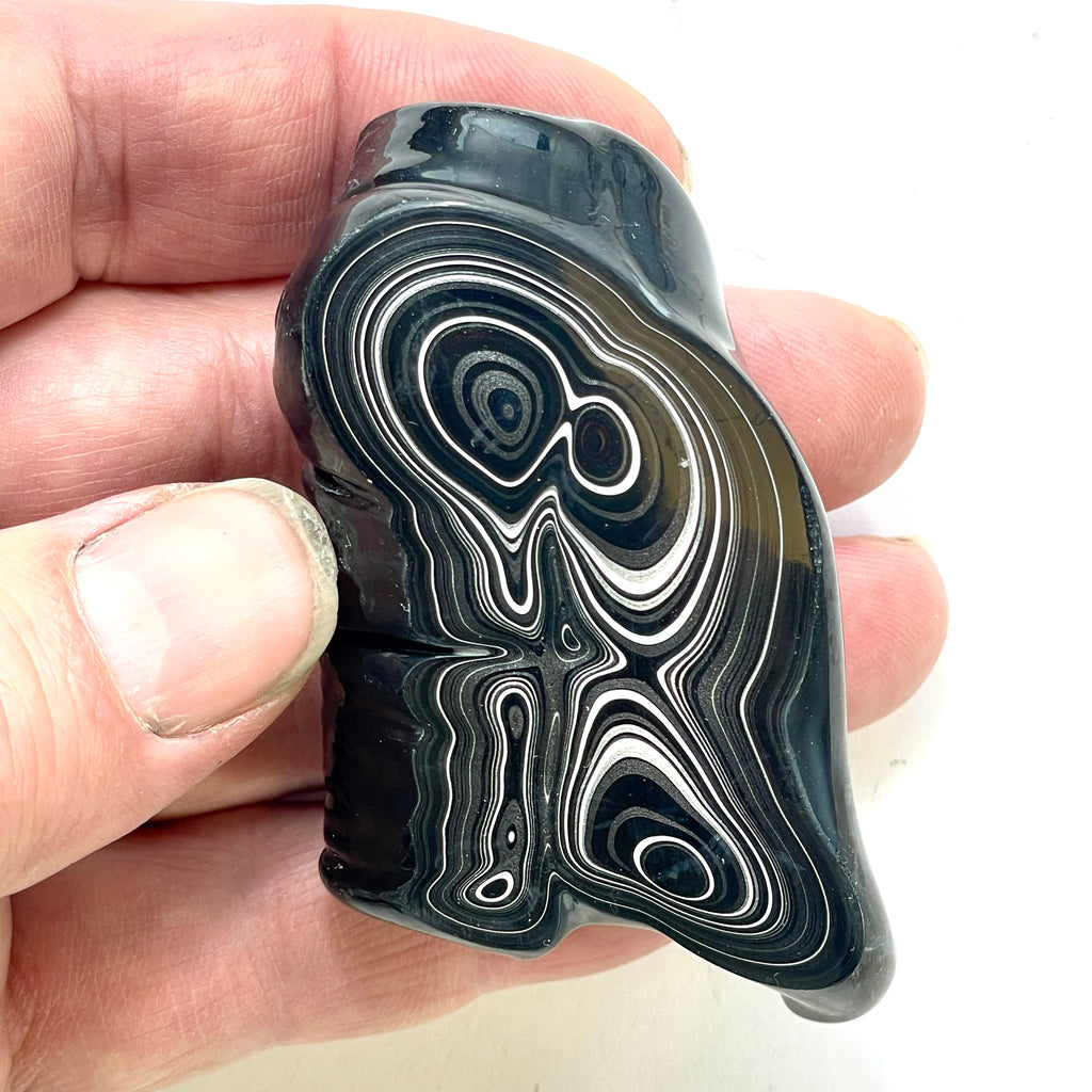 DVH Rare Black Onyx Michigan Fordite Crown of Silver Sheen Polished Specimen Rough (6230)