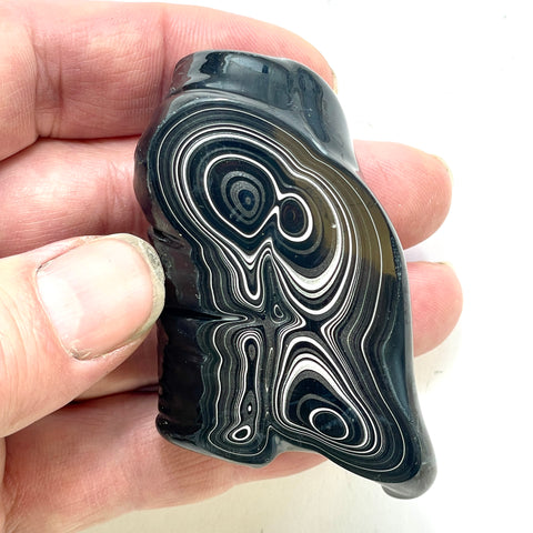 DVH Rare Black Onyx Michigan Fordite Crown of Silver Sheen Polished Specimen Rough (6230)