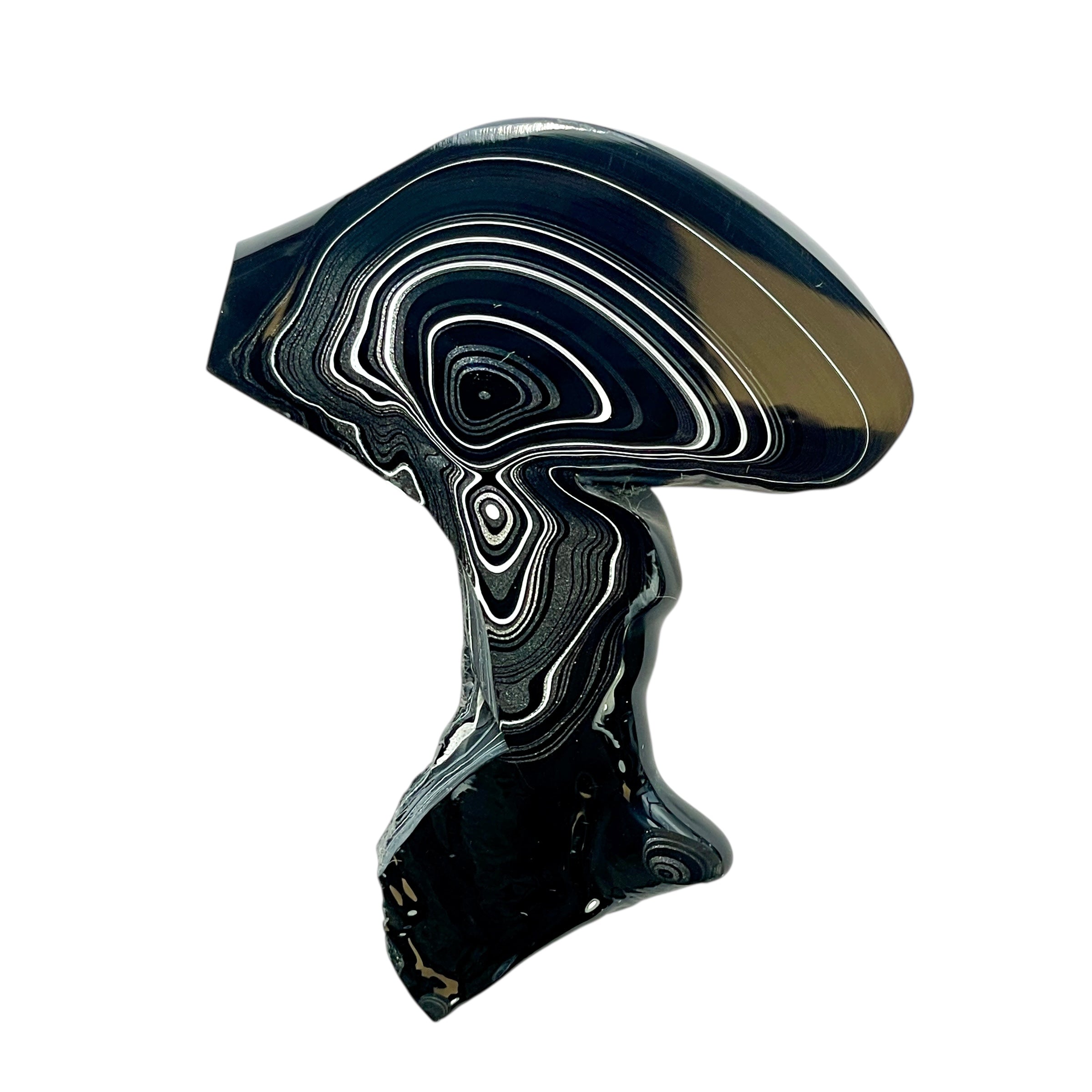 DVH Rare Black Onyx Michigan Fordite Crown of Silver Sheen Polished Specimen Rough (6231) - DVHdesigns