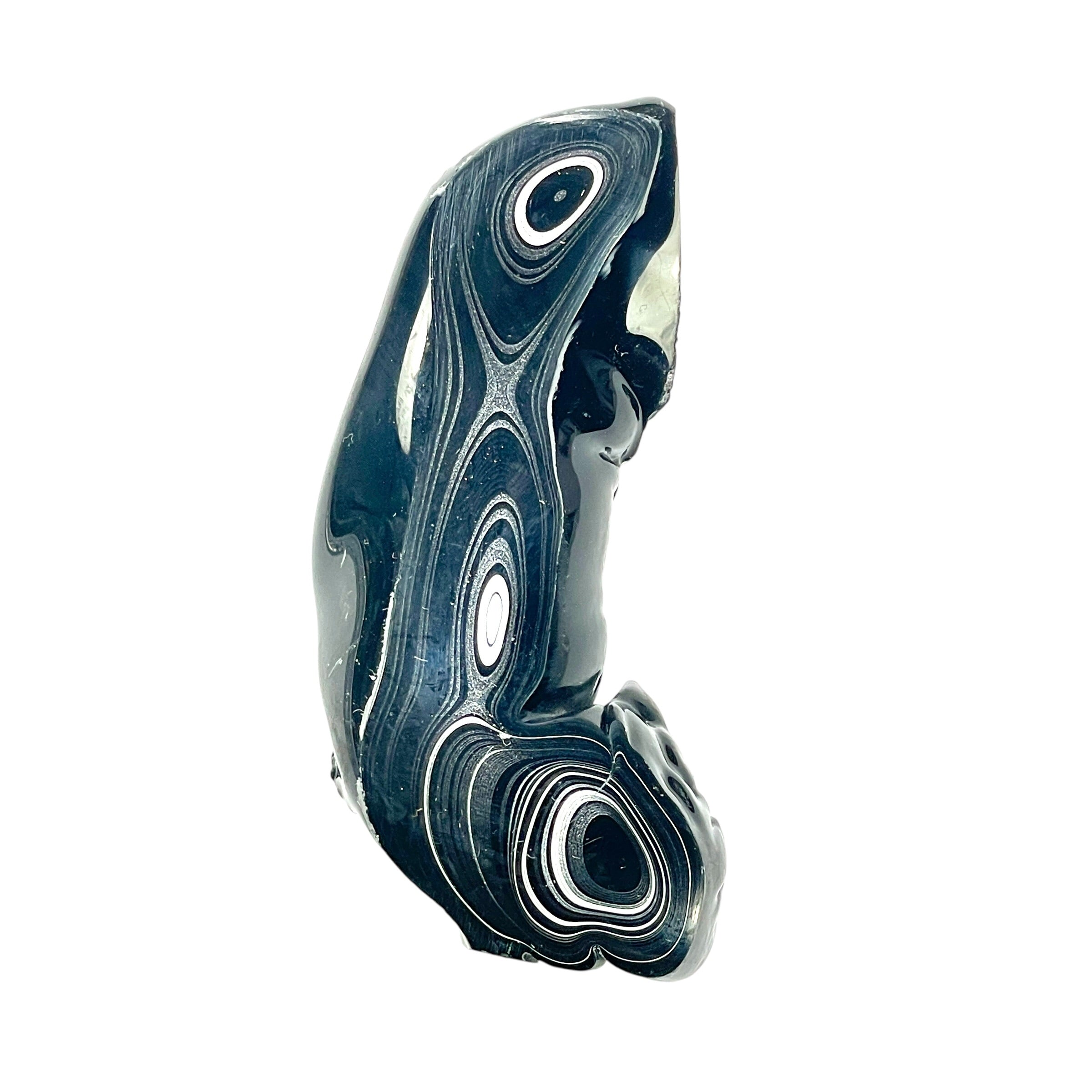 DVH Black Fordite Crown of Silver Sheen Polished Specimen Rough (6276) - DVHdesigns