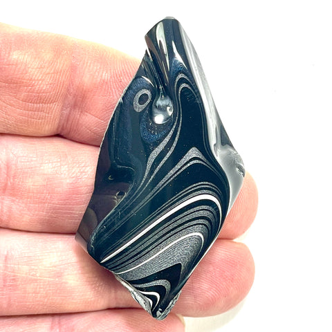 DVH Black Fordite Crown of Silver Sheen Polished Specimen Rough (6277)