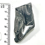 DVH Black Fordite Crown of Silver Sheen Polished Specimen Rough (6277)