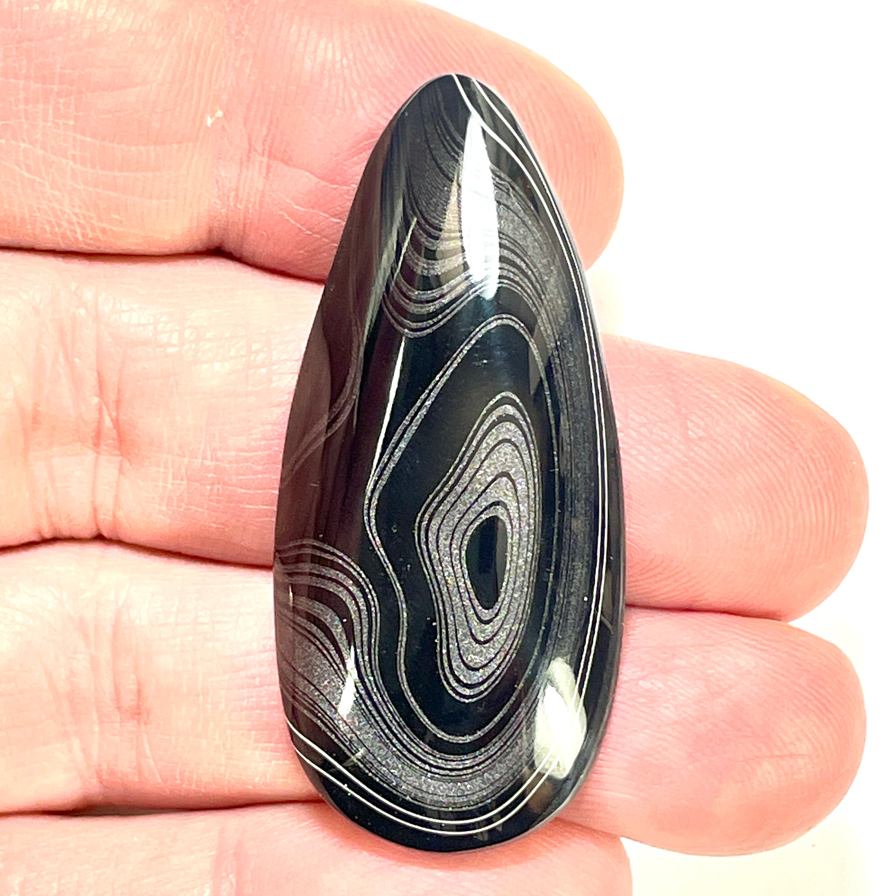 DVH Fordite Cabochon Rare Black Onyx Crown of Silver Sheen 48x22x7mm (6494) - DVHdesigns