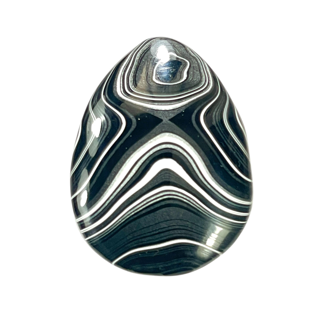 DVH Fordite Cabochon Rare Black Onyx Crown of Silver Sheen 35x27x6mm (6495) - DVHdesigns