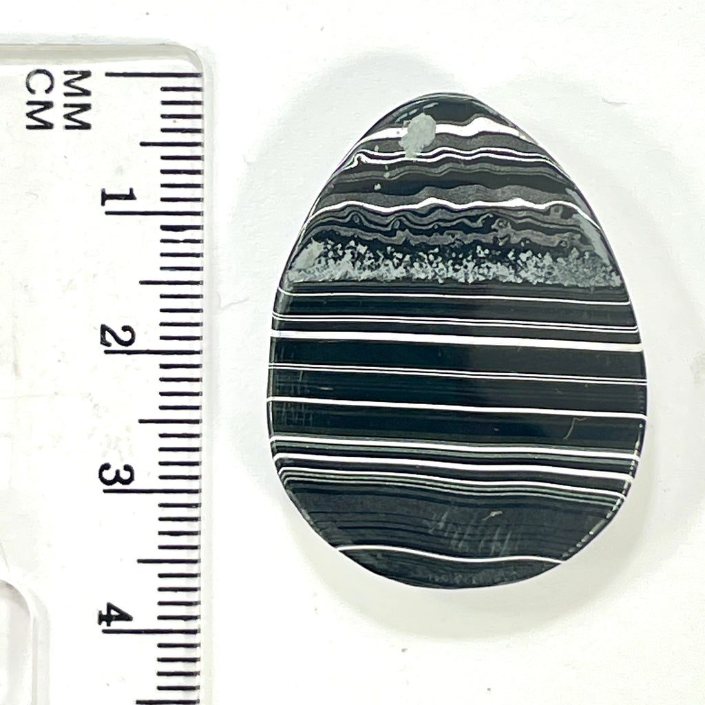 DVH Fordite Cabochon Rare Black Onyx Crown of Silver Sheen 35x27x6mm (6495) - DVHdesigns