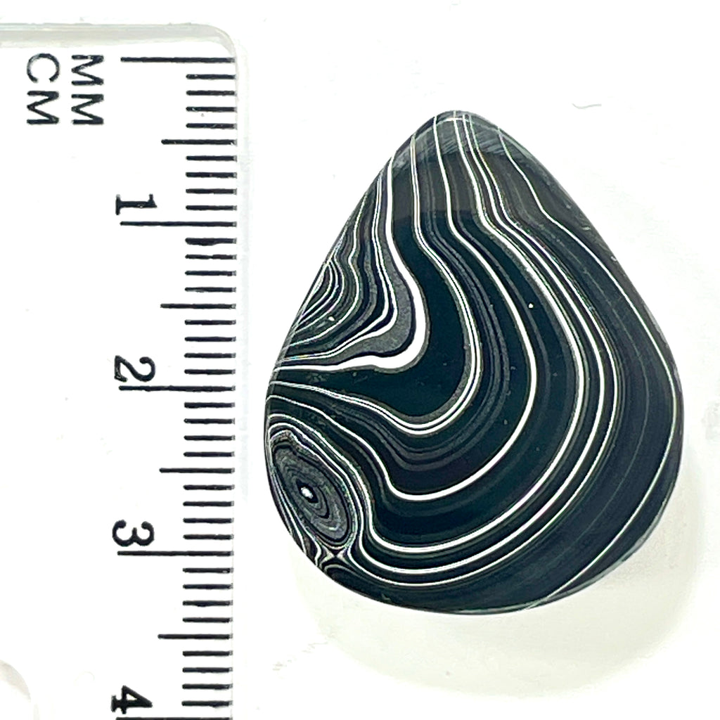 DVH Fordite Cabochon Rare Black Onyx Crown of Silver Sheen 30x25x7mm (6497) - DVHdesigns