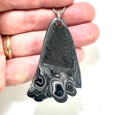 DVH Fordite Pendant Rare Black Onyx Crown of Silver Sheen 63x37x8mm (6502)