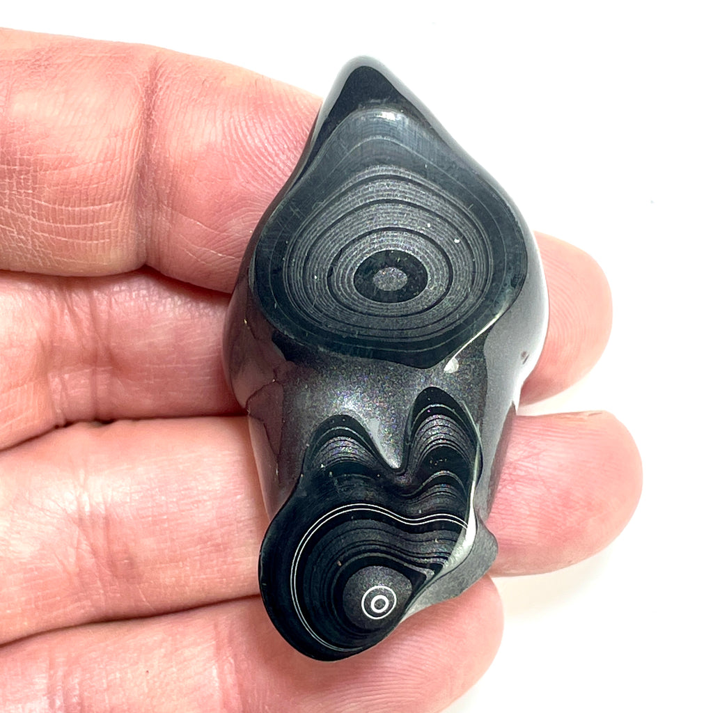 DVH Fordite Polished Face Specimen Black Crown of Silver Sheen (6505) - DVHdesigns