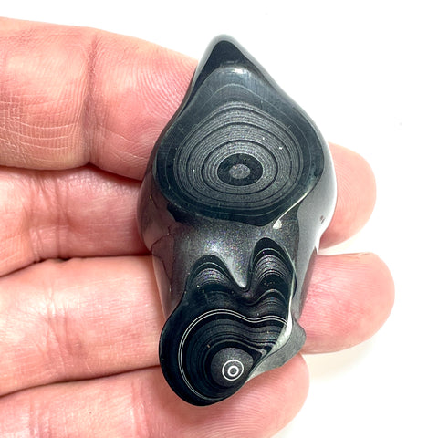 DVH Fordite Polished Face Specimen Black Crown of Silver Sheen (6505)