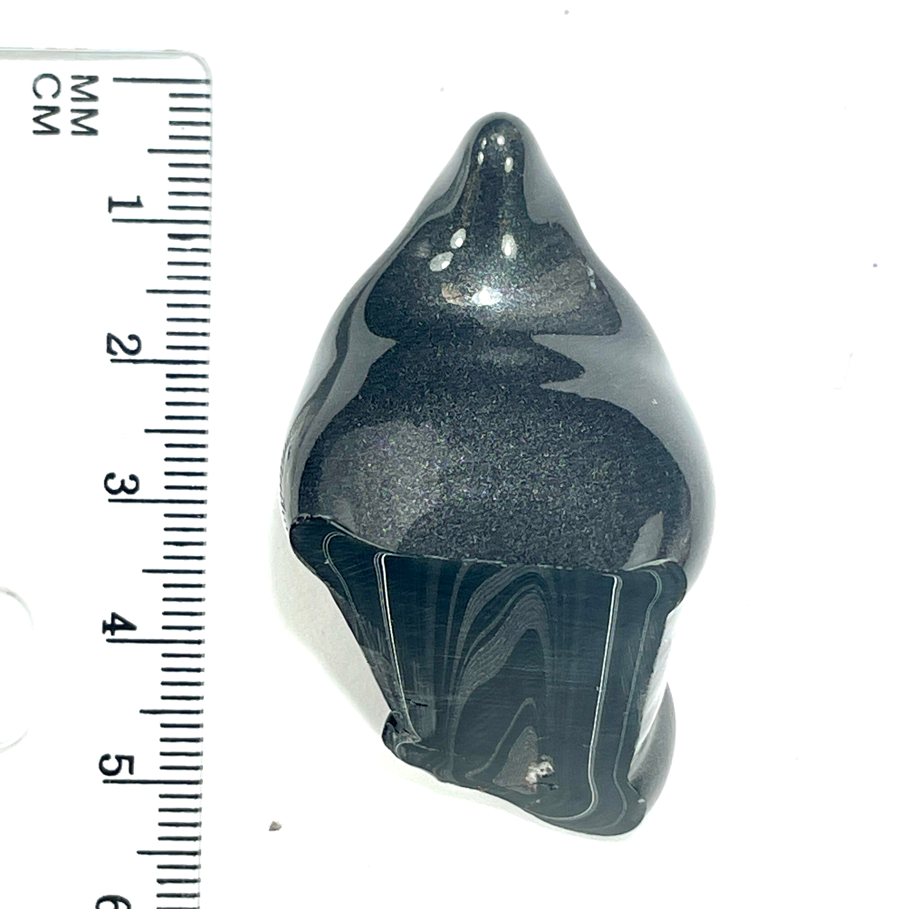 DVH Fordite Polished Face Specimen Black Crown of Silver Sheen (6505) - DVHdesigns