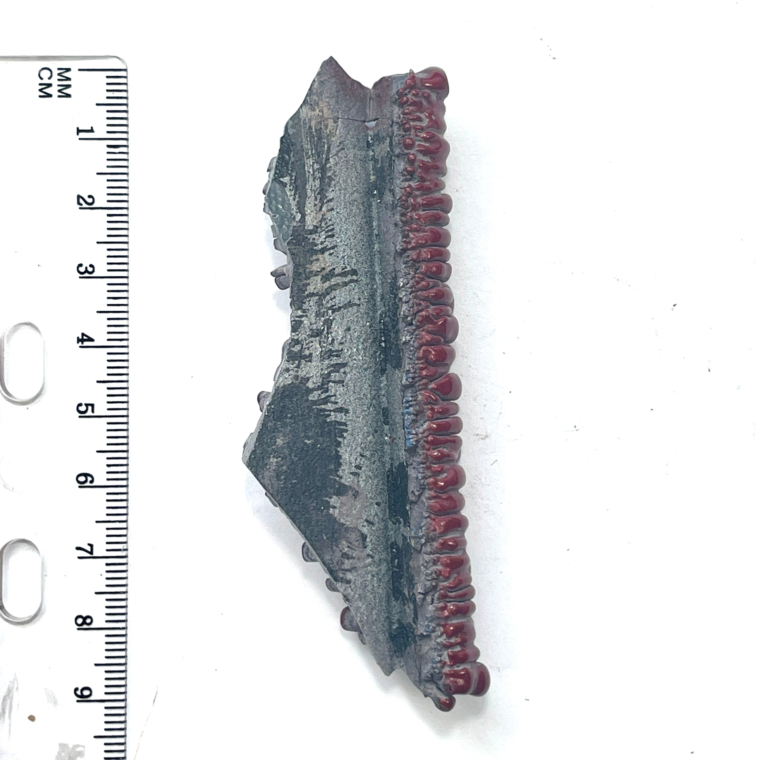 DVH Rapid Red Ford Mustang Fordite 20 Eye Specimen Polished Face (6341) - DVHdesigns