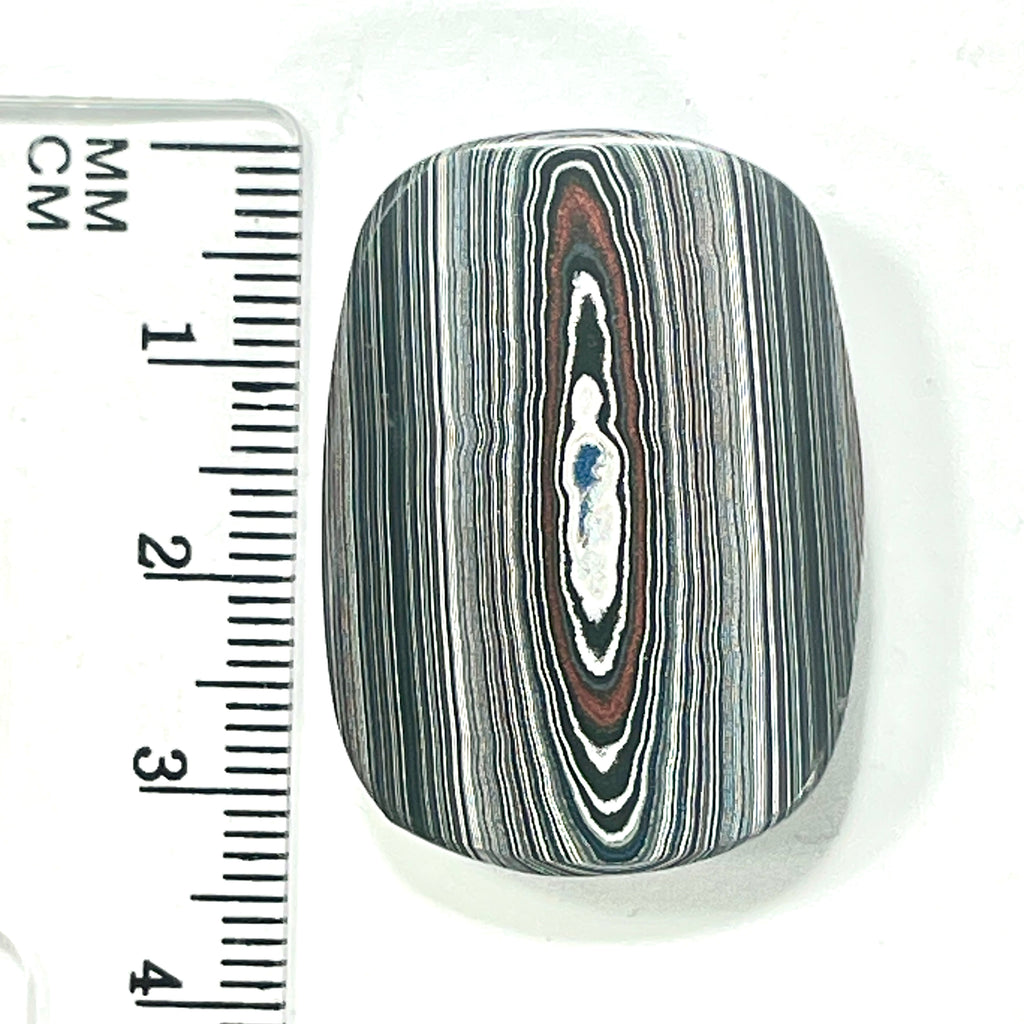 DVH Fordite Cabochon Genuine Michigan Mustang 34x25x7mm (6423)