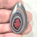 DVH Fordite Cabochon Genuine Michigan Mustang 40x23x4mm (6424)