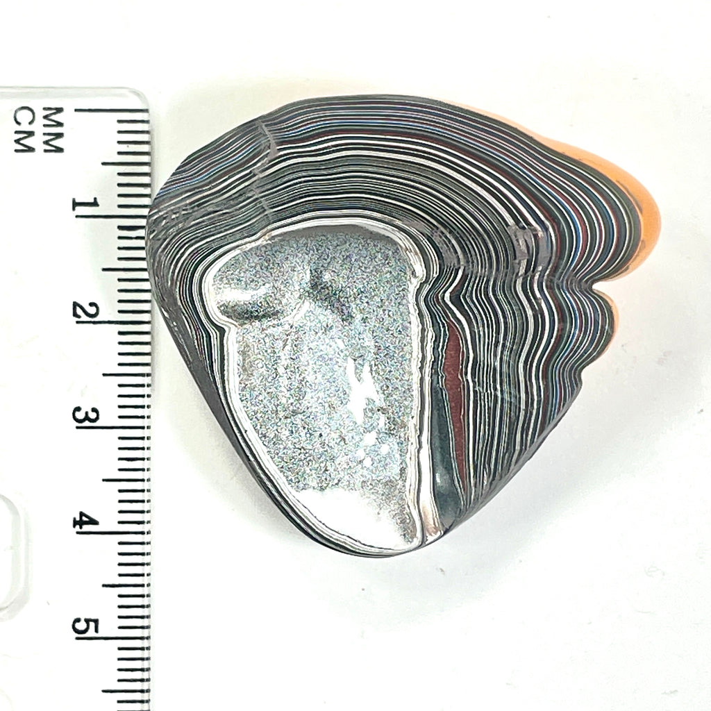 DVH Orange Fury Ford Mustang Fordite Dog Head Specimen Polished Face  (6643)