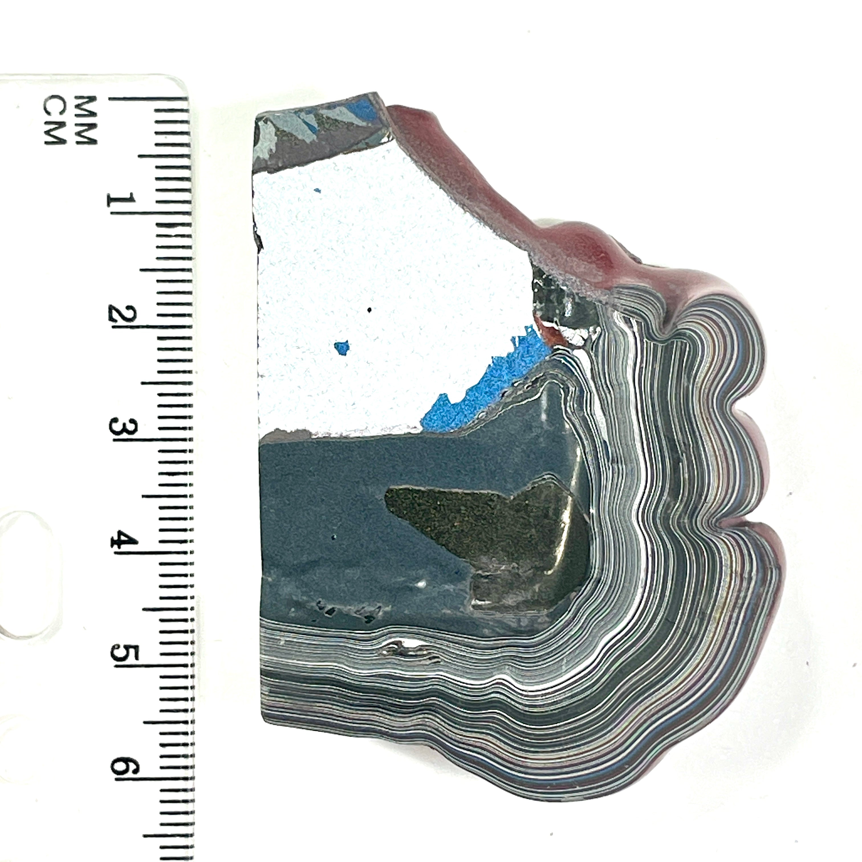 DVH Rapid Red Ford Mustang Fordite Specimen Polished Face Michigan (6644)