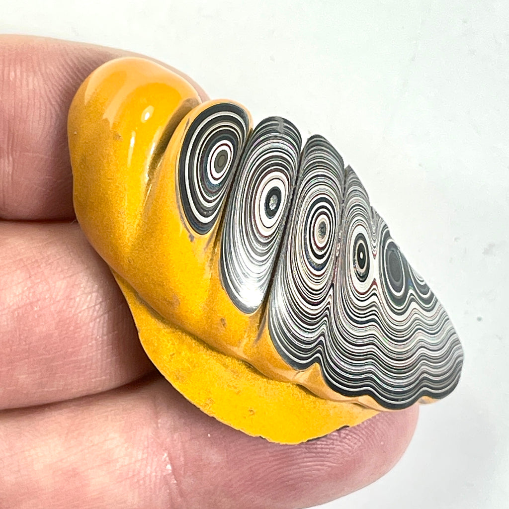 DVH Orange Fury Ford Mustang Fordite Specimen Polished Face Michigan (6645)