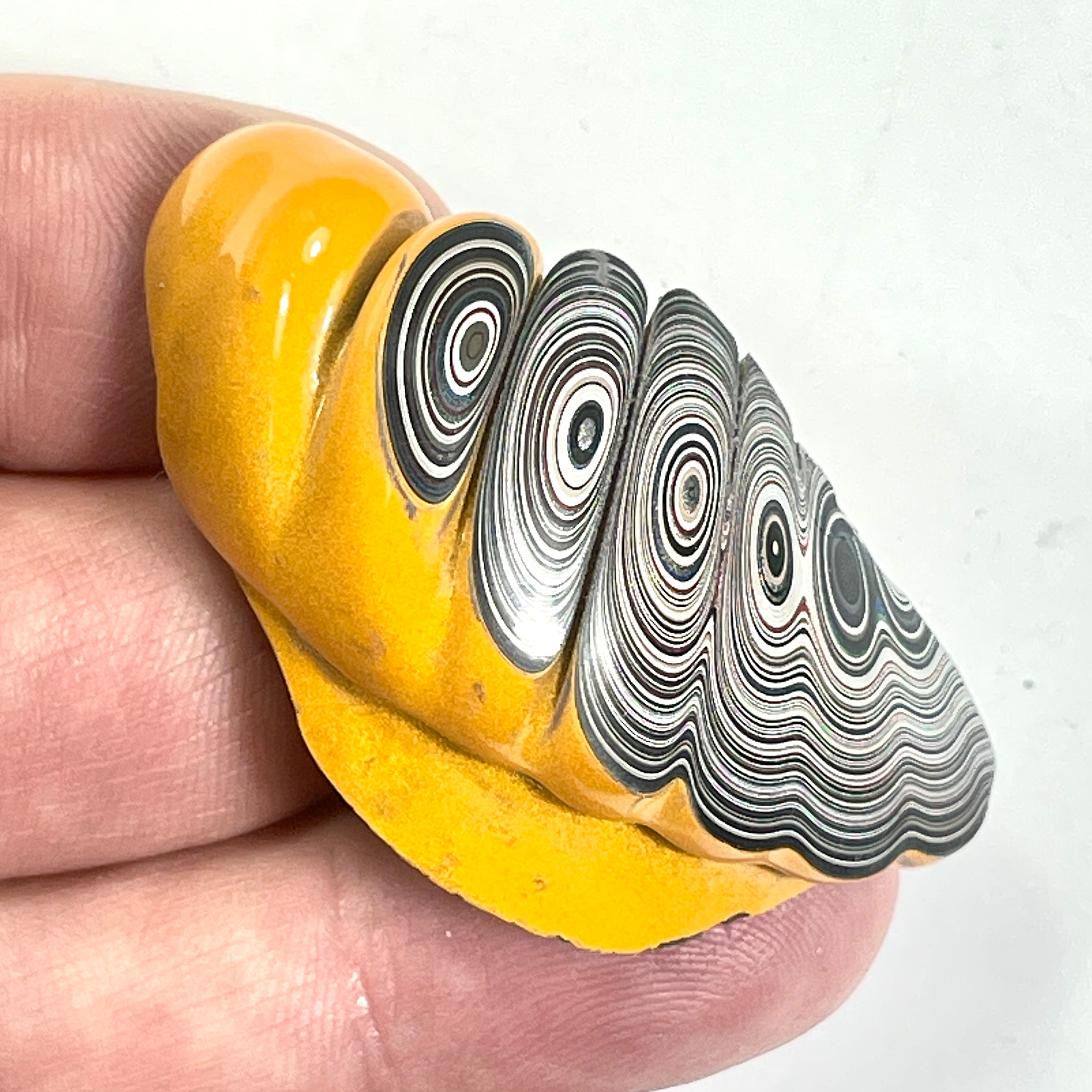 DVH Orange Fury Ford Mustang Fordite Specimen Polished Face Michigan (6645)
