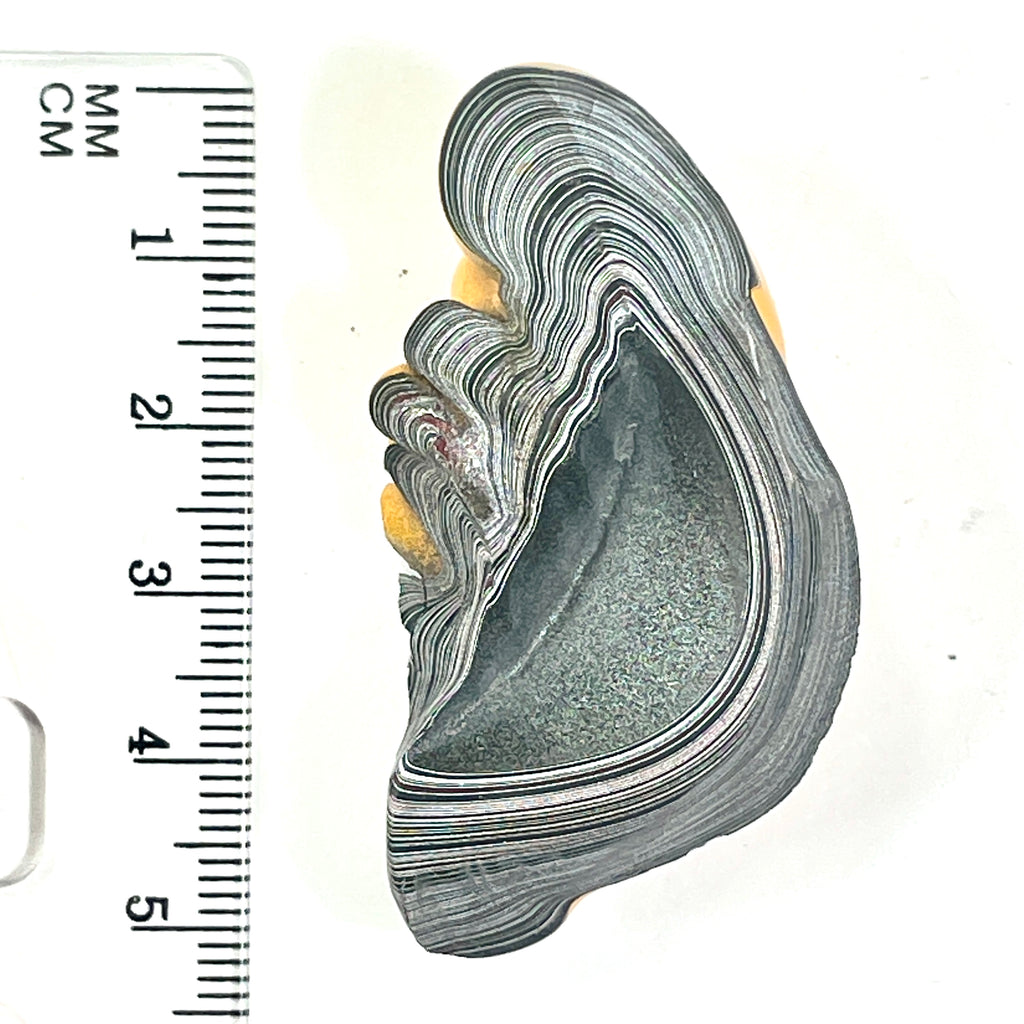 DVH Orange Fury Ford Mustang Fordite Specimen Polished Face Michigan (6645)