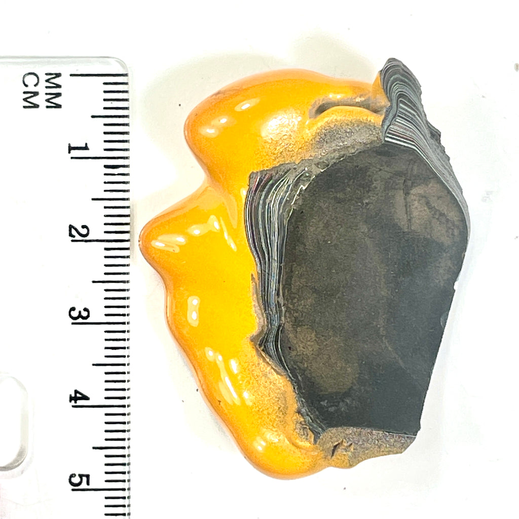 DVH Orange Fury Ford Mustang Fordite Specimen Polished Face Michigan (6648)