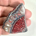 DVH Rapid Red Ford Mustang Fordite Specimen Polished Face Michigan (6649) - DVHdesigns