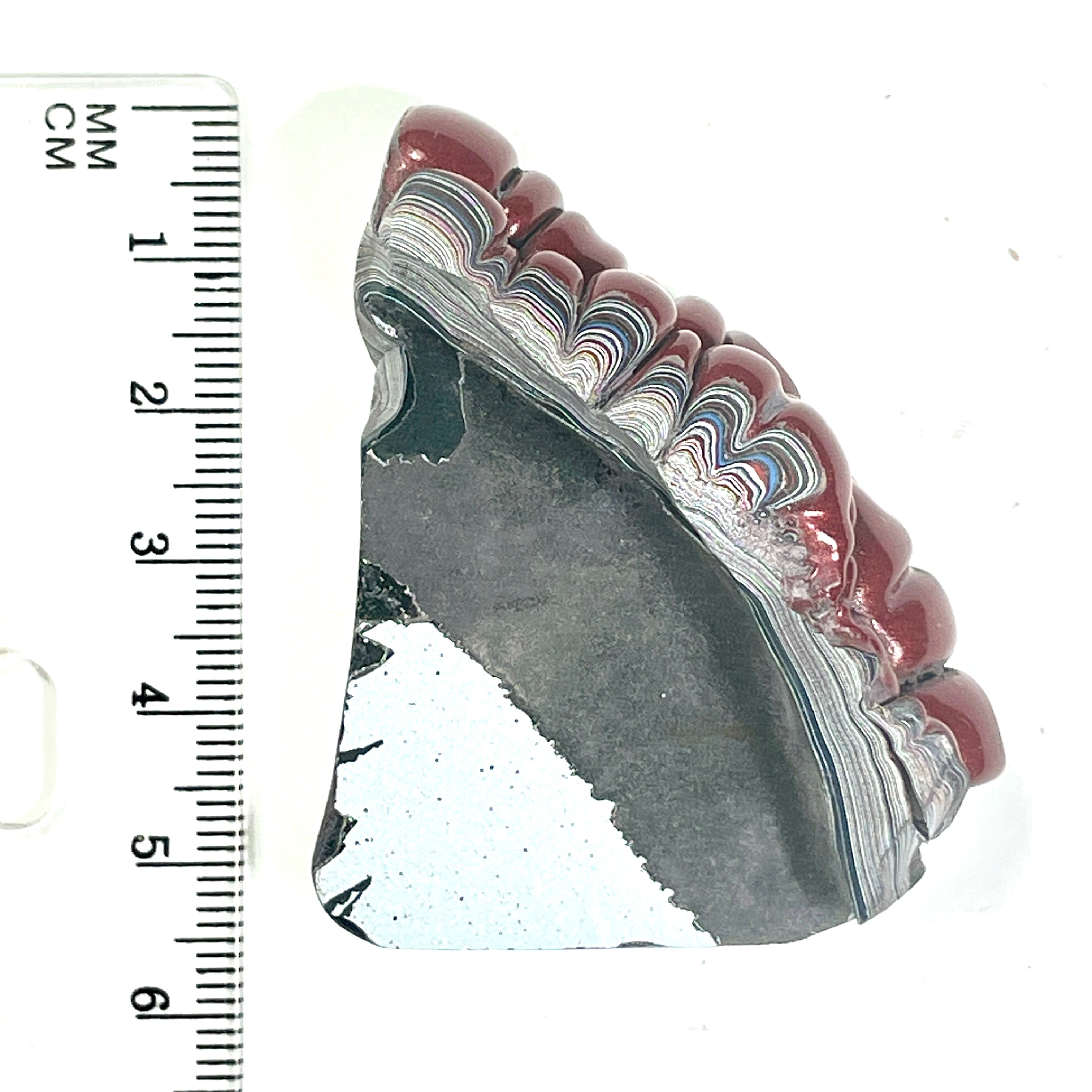 DVH Rapid Red Ford Mustang Fordite Specimen Polished Face Michigan (6649)