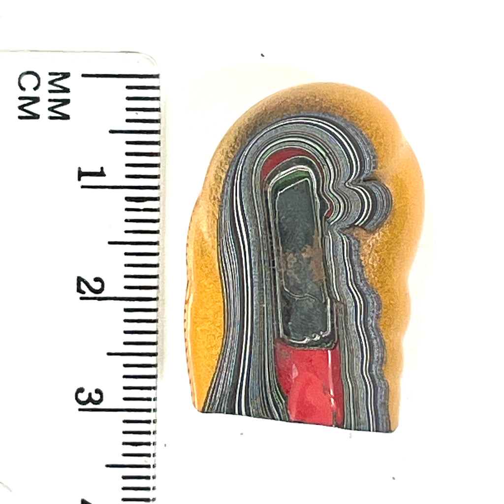 DVH Orange Fury Ford Mustang Fordite Specimen Polished Face Michigan (6650)