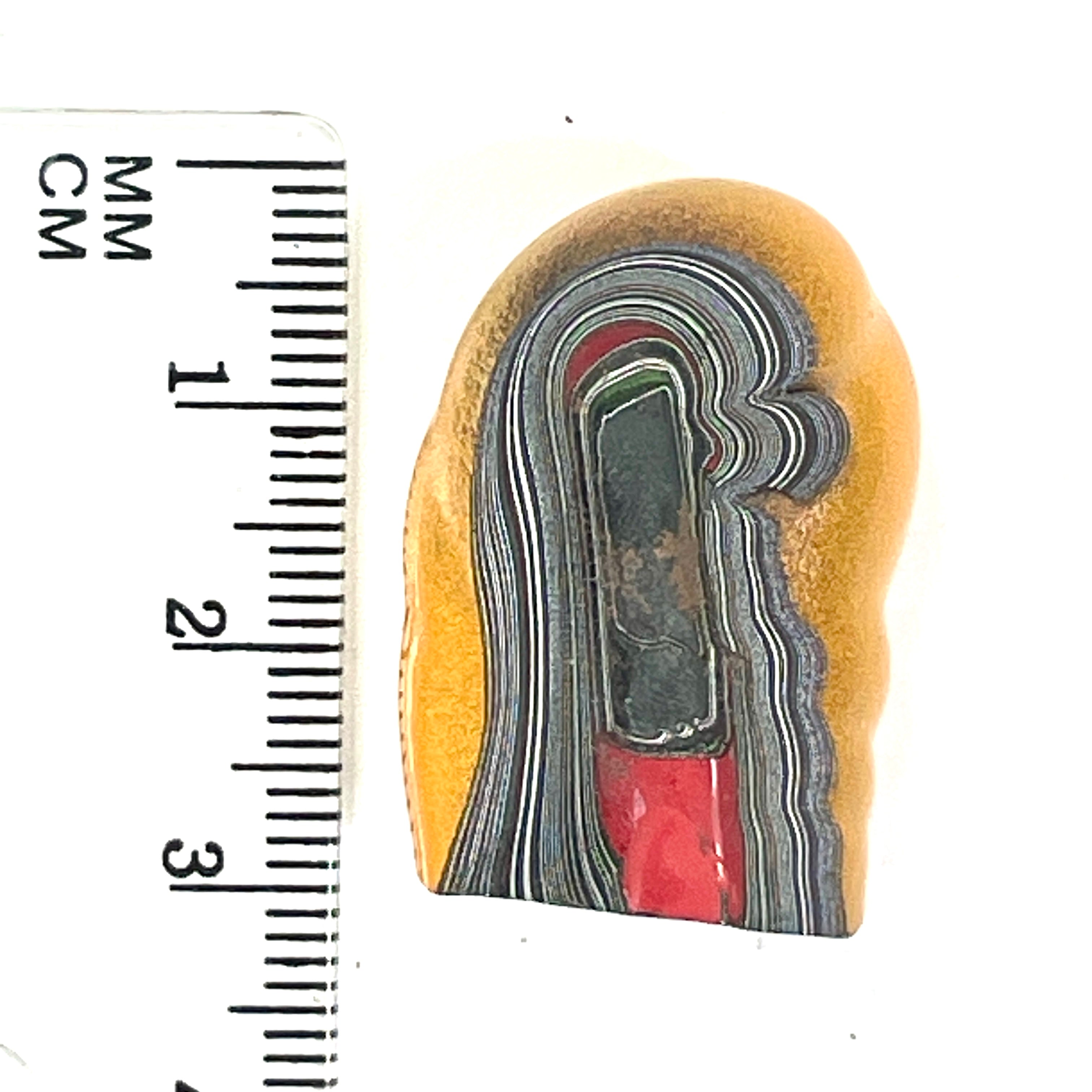 DVH Orange Fury Ford Mustang Fordite Specimen Polished Face Michigan (6650)