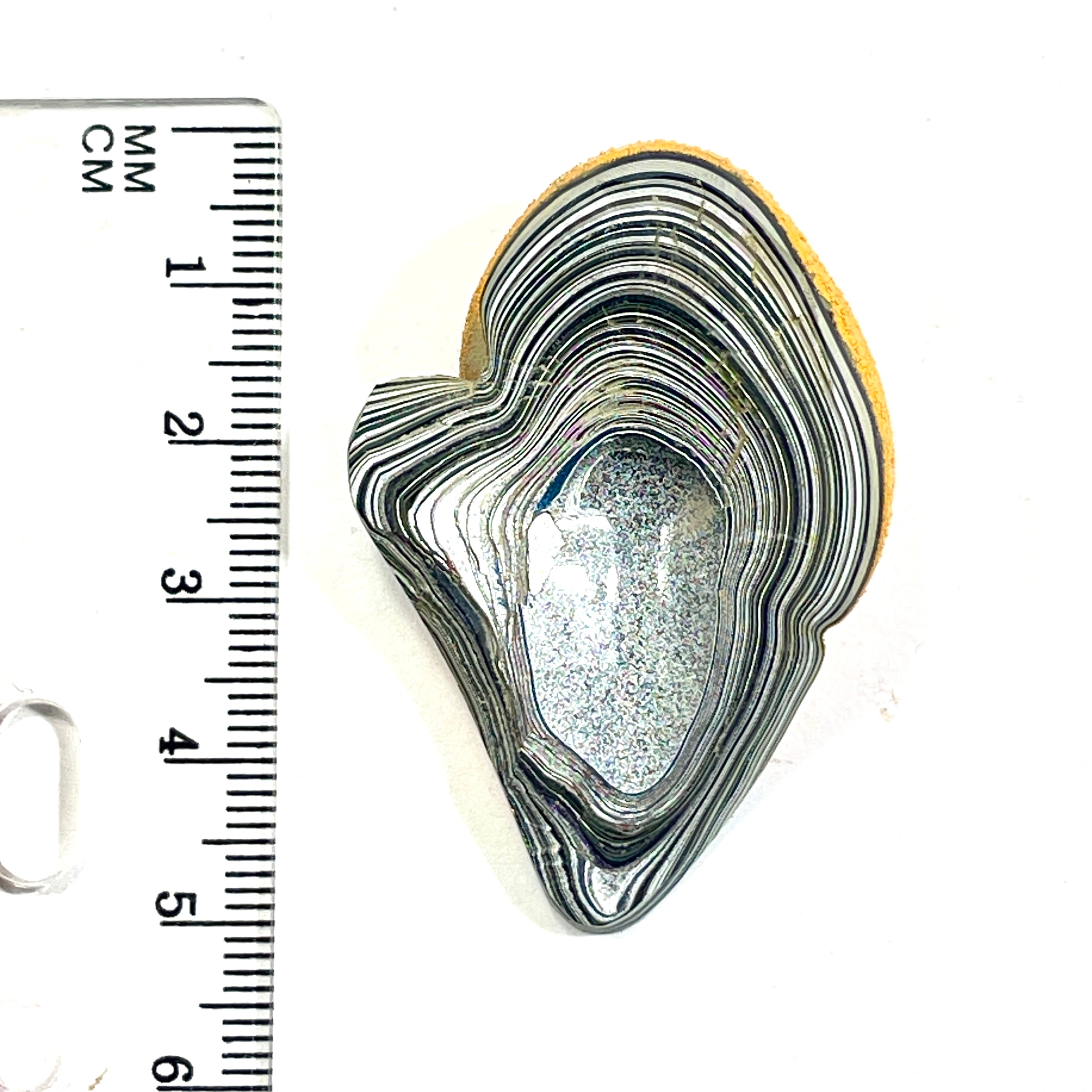 DVH Orange Fury Ford Mustang Fordite Specimen Polished Face (6732)