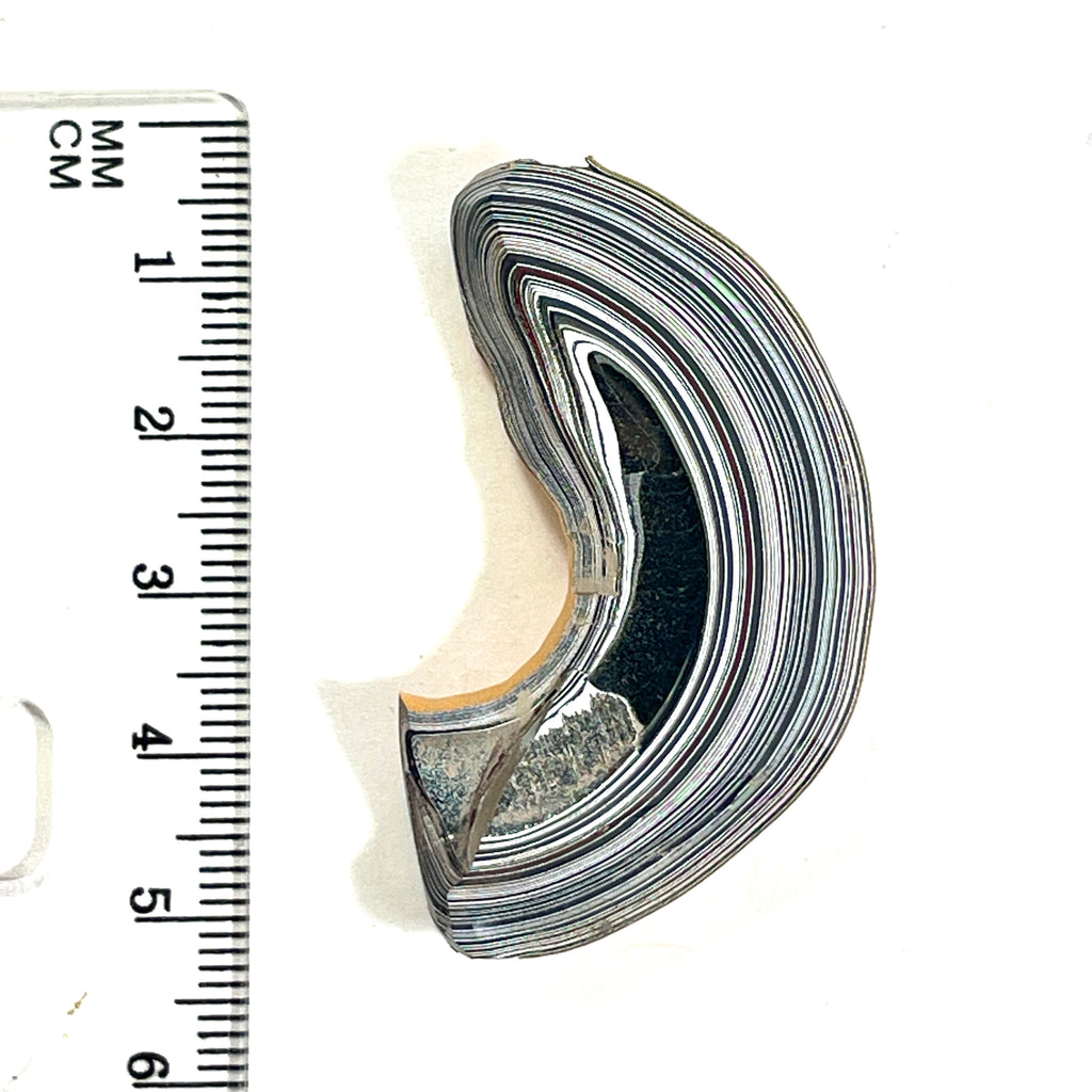 DVH Orange Fury Ford Mustang Fordite Specimen Polished Face (6735)
