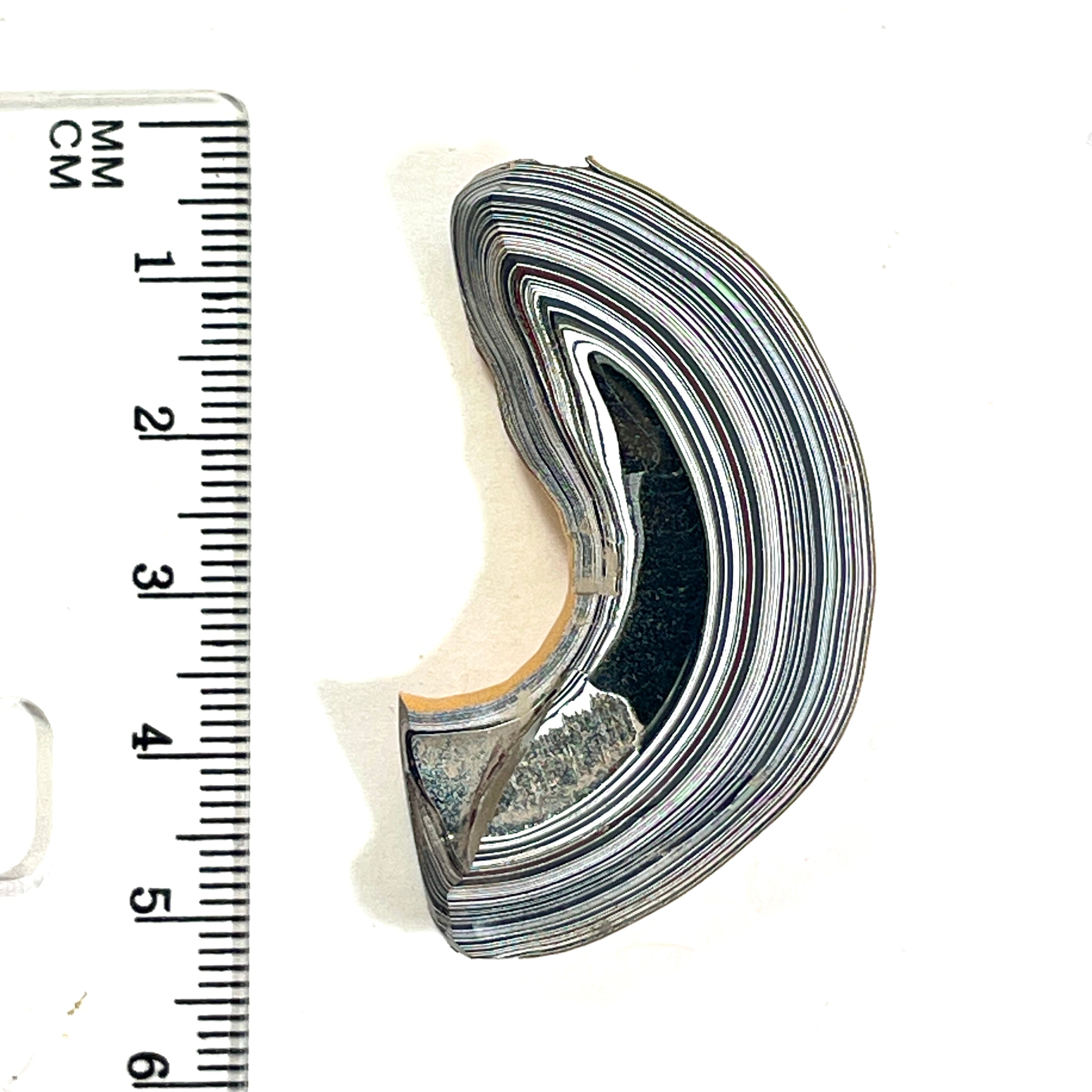 DVH Orange Fury Ford Mustang Fordite Specimen Polished Face (6735)