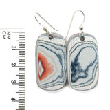 DVH Ford Focus C-MAX Fordite Earrings Michigan Assembly 33x18x4mm (5673)