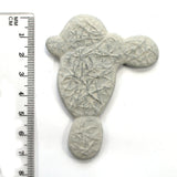 DVH Fairy Stone Concretion Goddess Rock Quebec 74x58x6mm (5499)