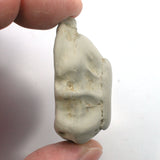 DVH Fairy Hag Stone Concretion Fossil Grass Hole Goddess Quebec 45x26x19mm (5547)