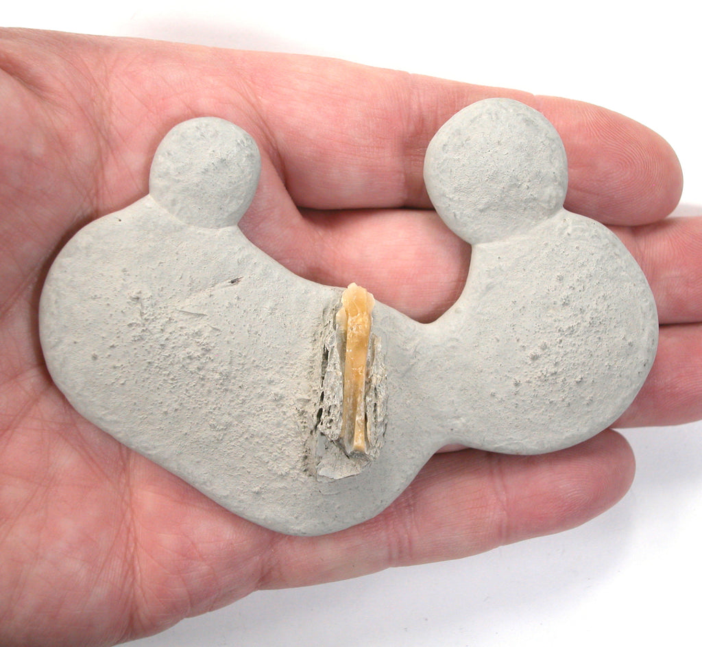 DVH Fairy Stone Concretion Nativity Fossil Grass Jesus 95x69x18mm (5759) - DVHdesigns