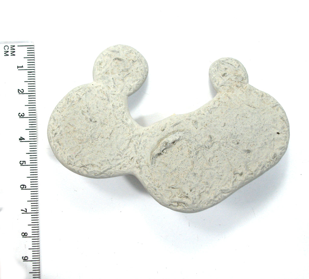 DVH Fairy Stone Concretion Nativity Fossil Grass Jesus 95x69x18mm (5759) - DVHdesigns