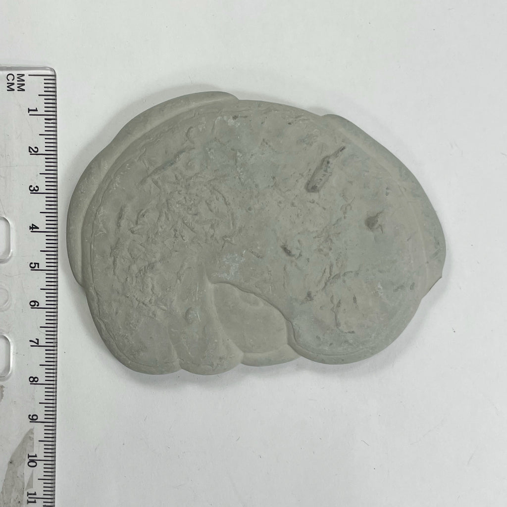 DVH Fairy Stone Goddess Rock Natural Concretion Quebec Rainbow 92x66x12mm (5859) - DVHdesigns
