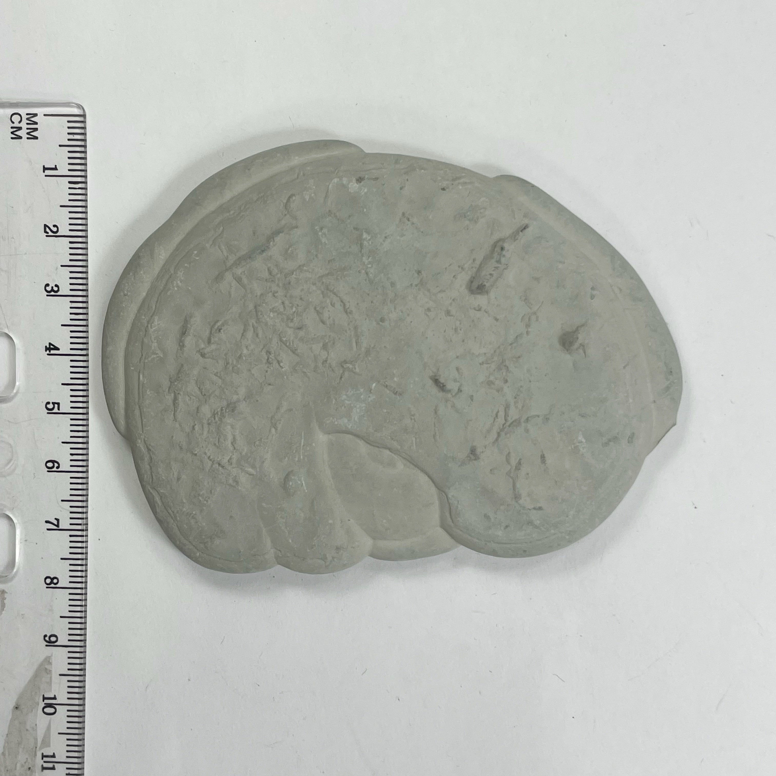 DVH Fairy Stone Goddess Rock Natural Concretion Quebec Rainbow 92x66x12mm (5859) - DVHdesigns