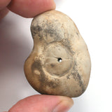 DVH Fairy Hag Stone Concretion Fossil Grass Hole Quebec 45x33x26 (5352)