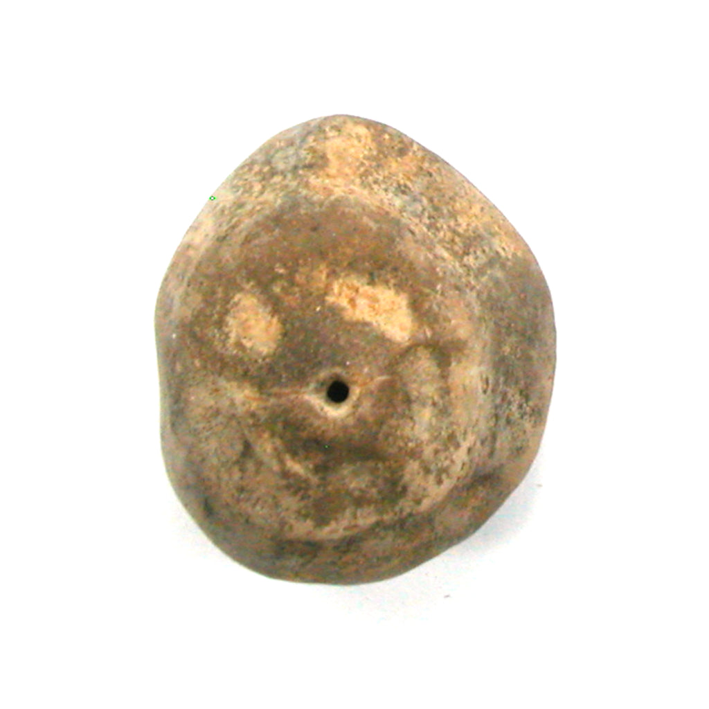 DVH Fairy Hag Stone Concretion Fossil Grass Hole Quebec 32x29x18 (5353) - DVHdesigns