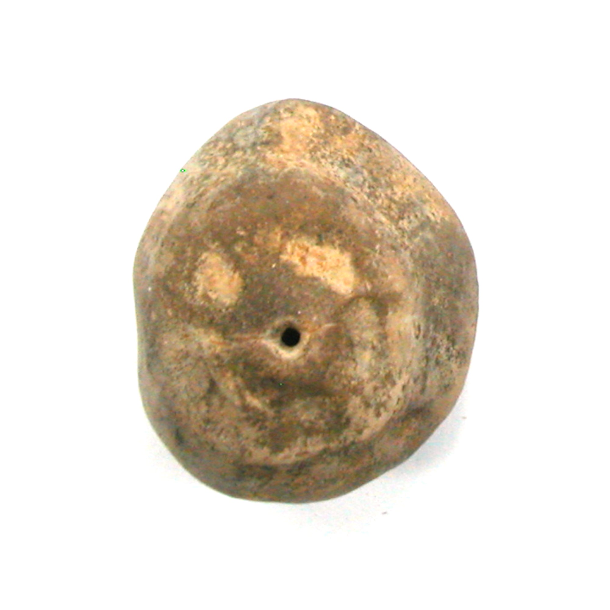 DVH Fairy Hag Stone Concretion Fossil Grass Hole Quebec 32x29x18 (5353) - DVHdesigns