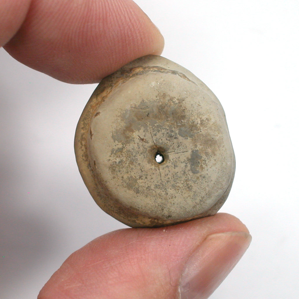 DVH Fairy Hag Stone Concretion Fossil Grass Hole Quebec 32x29x18 (5353) - DVHdesigns